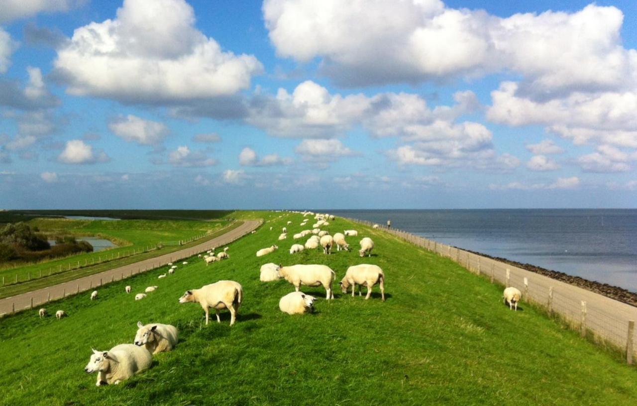 Jagershuistexel Bed & Breakfast Oosterend  Bagian luar foto