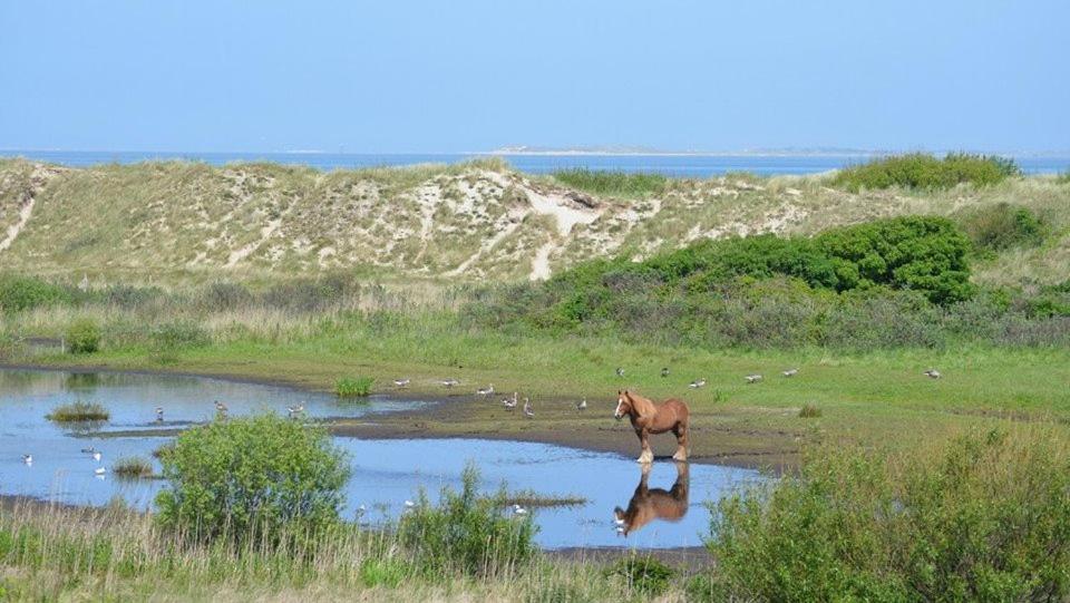 Jagershuistexel Bed & Breakfast Oosterend  Bagian luar foto